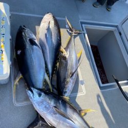 へいみつ丸 釣果