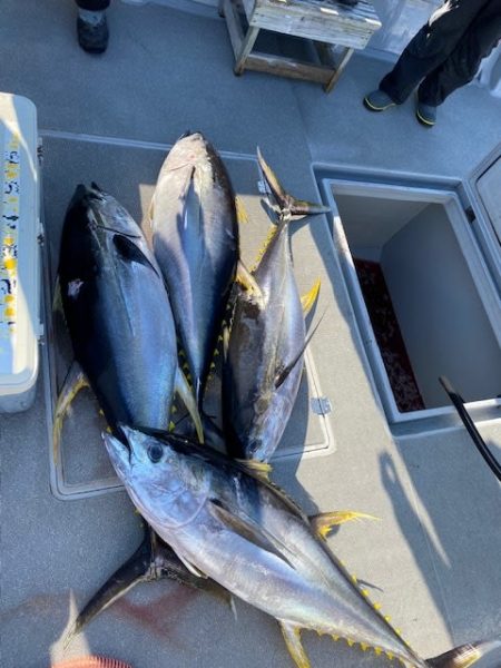 へいみつ丸 釣果