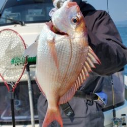 遊漁船 ニライカナイ 釣果