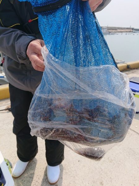 たかみ丸 釣果