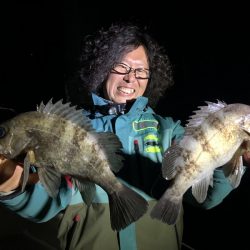 Magic（マジック） 釣果