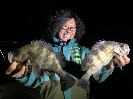 Magic（マジック） 釣果