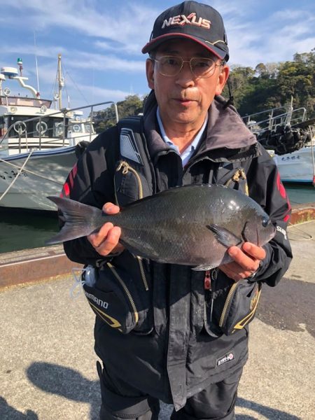 伊豆下田フィッシング 釣果