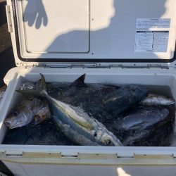 伊豆下田フィッシング 釣果