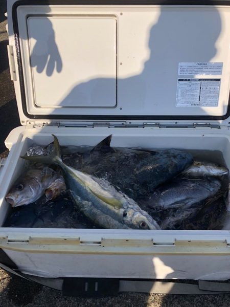 伊豆下田フィッシング 釣果