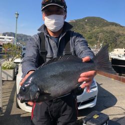 伊豆下田フィッシング 釣果