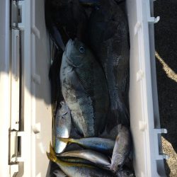 伊豆下田フィッシング 釣果