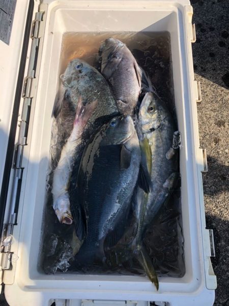 伊豆下田フィッシング 釣果