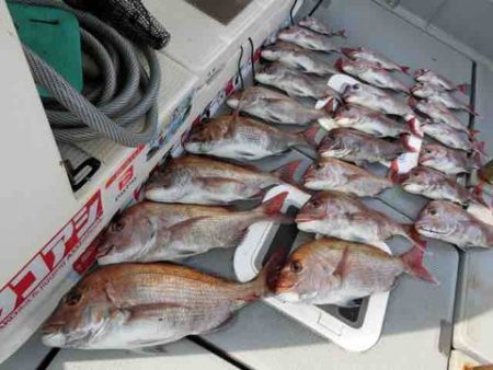 遊漁船 セトマリン 釣果