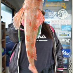 遊漁船 ニライカナイ 釣果