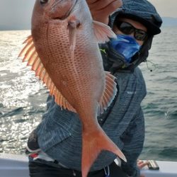 遊漁船 ニライカナイ 釣果