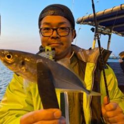 シーマジカル 釣果