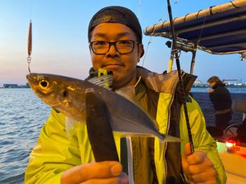 シーマジカル 釣果