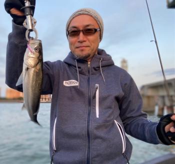 シーマジカル 釣果