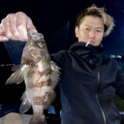 シーマジカル 釣果