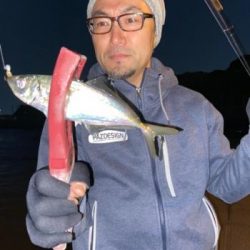 シーマジカル 釣果