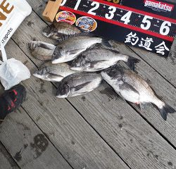 バラモン1号 釣果