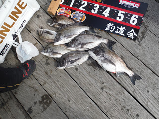 バラモン1号 釣果