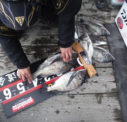 バラモン1号 釣果