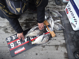 バラモン1号 釣果