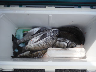 バラモン1号 釣果