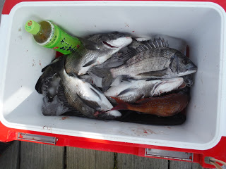 バラモン1号 釣果