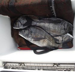 バラモン1号 釣果