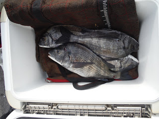 バラモン1号 釣果