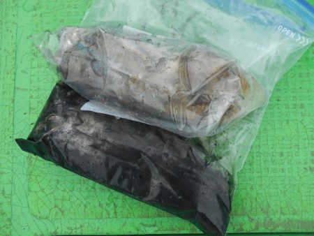 こかわ渡船　雅丸 釣果