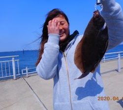 鹿島港魚釣園 釣果
