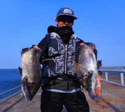 鹿島港魚釣園 釣果