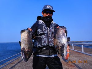 鹿島港魚釣園 釣果