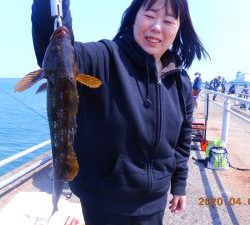 鹿島港魚釣園 釣果