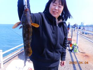 鹿島港魚釣園 釣果