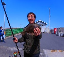 鹿島港魚釣園 釣果