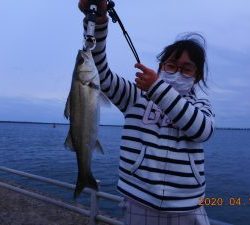 鹿島港魚釣園 釣果