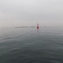 フィッシングボート空風(そらかぜ) 釣果