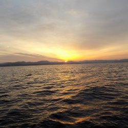 フィッシングボート空風(そらかぜ) 釣果