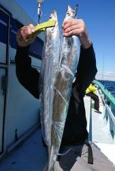 KONAYAーMARU(こなや丸) 釣果