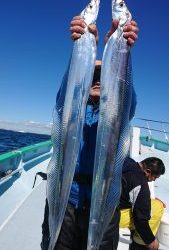 KONAYAーMARU(こなや丸) 釣果