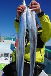 KONAYAーMARU(こなや丸) 釣果