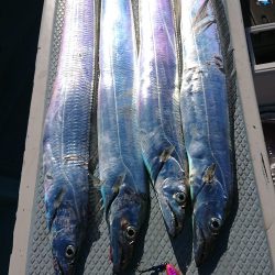 KONAYAーMARU(こなや丸) 釣果