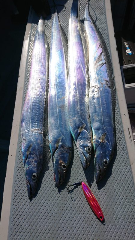 KONAYAーMARU(こなや丸) 釣果