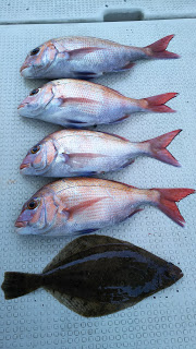 釣り舟　海竜 釣果