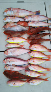 釣り舟　海竜 釣果