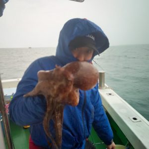 恵比寿丸（兵庫） 釣果