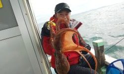 恵比寿丸(兵庫) 釣果