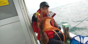 恵比寿丸(兵庫) 釣果