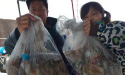 恵比寿丸(兵庫) 釣果