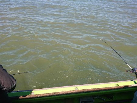 深川 吉野屋 釣果